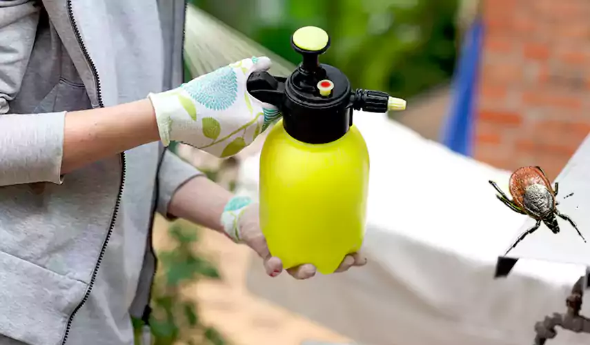 Ticks Pest Control Whittier, California