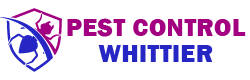 Pest Control Whittier