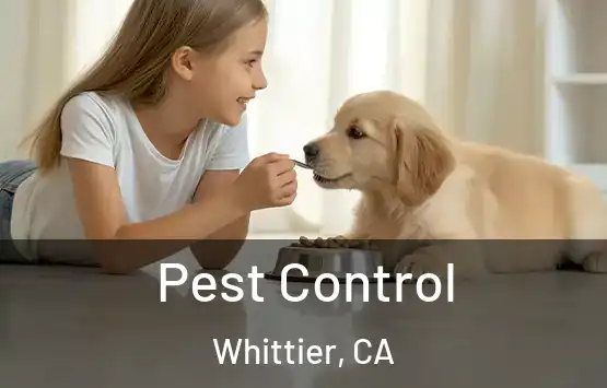 Pest Control Whittier, CA