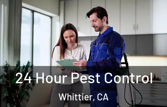  24 Hour Pest Control Whittier, CA