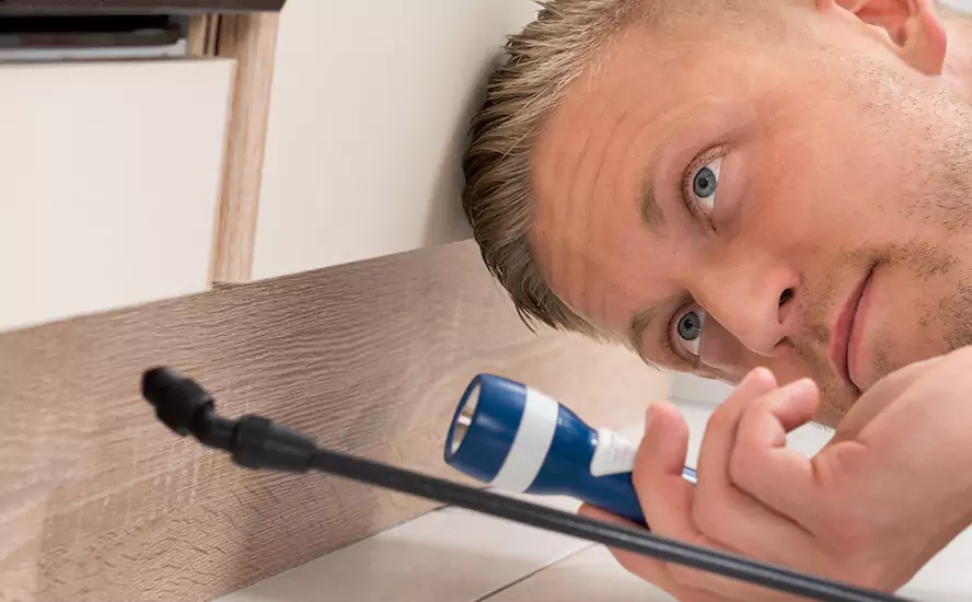 Top-Notch Pest Control in Whittier