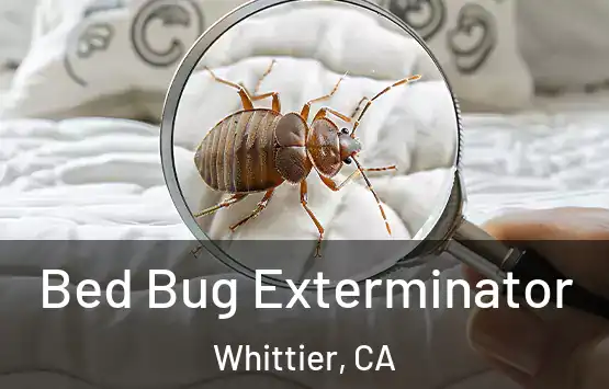  Bed Bug Exterminator Whittier, CA
