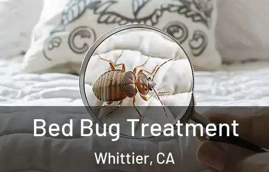  Bed Bug Treatment Whittier, CA