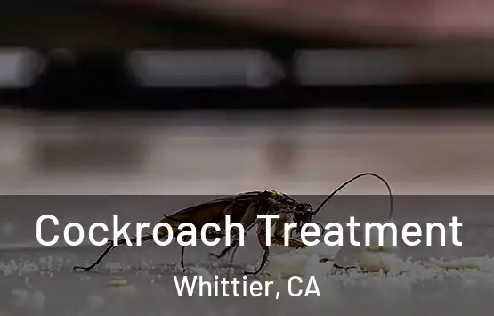  Cockroach Treatment Whittier, CA