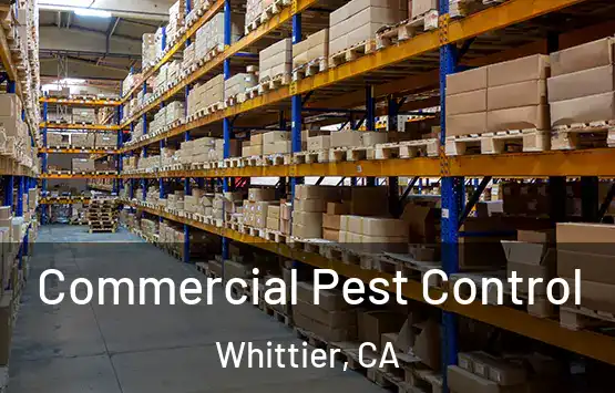  Commercial Pest Control Whittier, CA