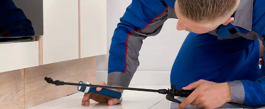 Commercial Pest Control for Offices in Whittier, CA