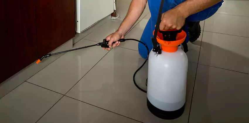 Commercial Pest Extermination for Offices in Whittier, CA