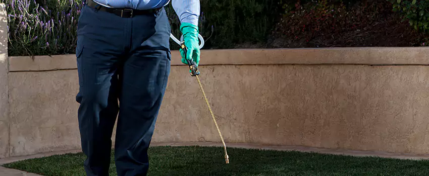 Emergency Pest Extermination for Children and Pets Whittier, CA