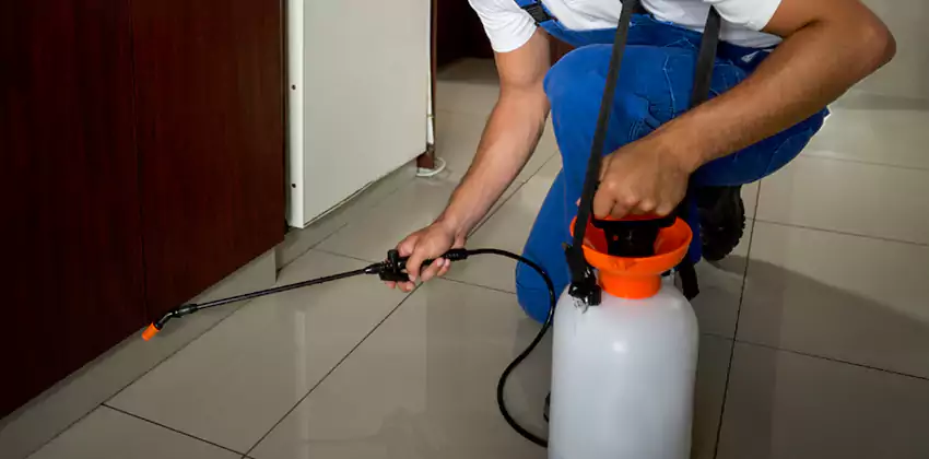 Commercial Flea Exterminator Company in Whittier, CA