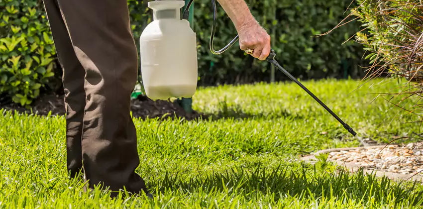 Grub Treatment for Bedrooms Whittier, CA