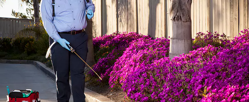 Commercial Mosquito Control Services in Whittier, CA
