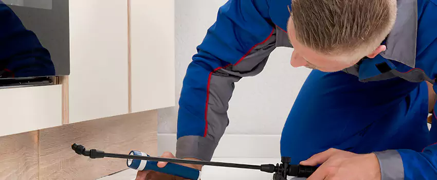 Termite Control for Children and Pets in Whittier, CA