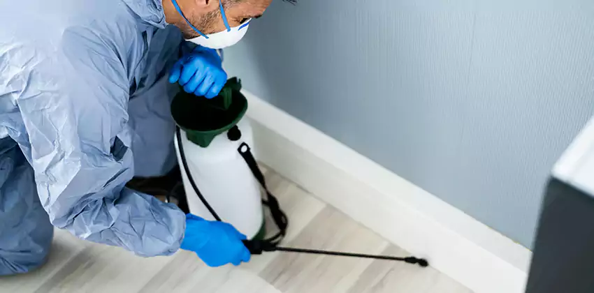 commercial-pest-exterminator in Whittier, CA