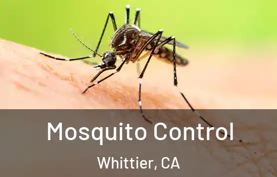  Mosquito Control Whittier, CA