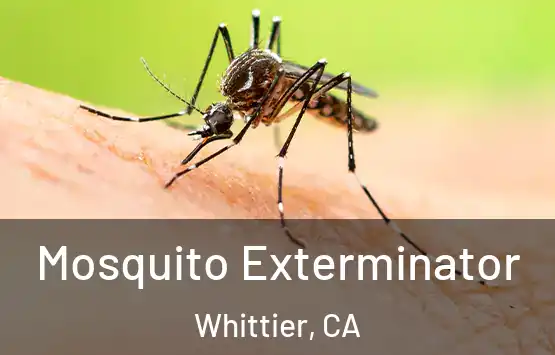  Mosquito Exterminator Whittier, CA