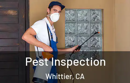  Pest Inspection Whittier, CA