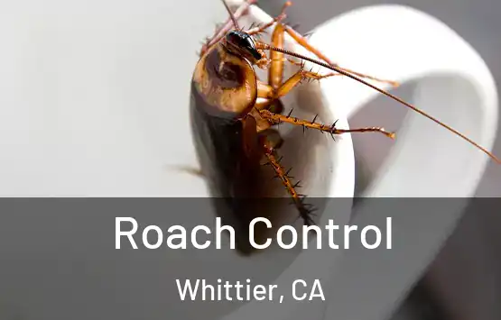  Roach Control Whittier, CA