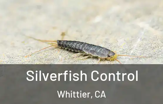  Silverfish Control Whittier, CA