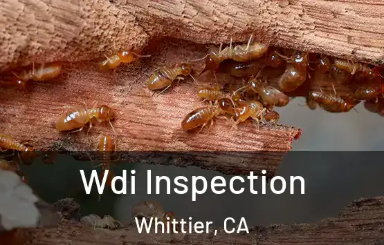  Wdi Inspection Whittier, CA